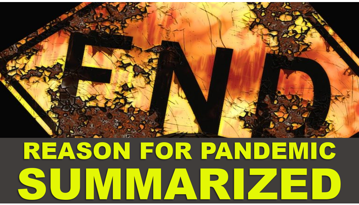 Pandemic Reason Summarized